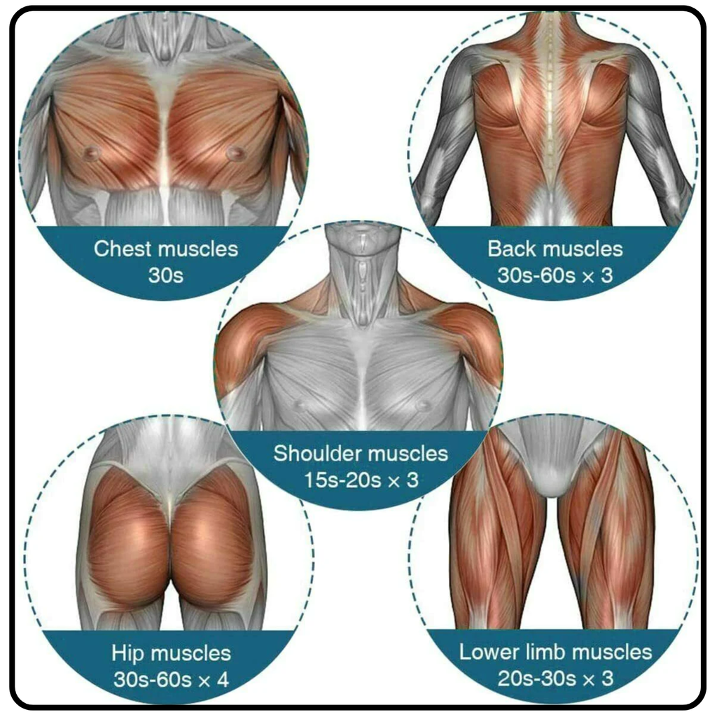 Massage Gun - Percussion Massager Deep Tissue Muscle Vibrating Relaxing + 4 Heads