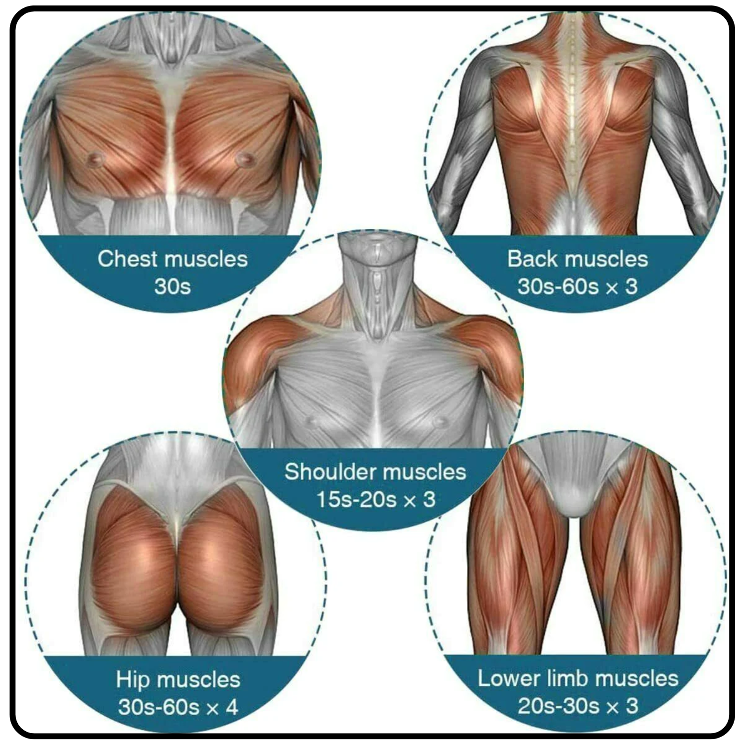 Massage Gun - Percussion Massager Deep Tissue Muscle Vibrating Relaxing + 4 Heads